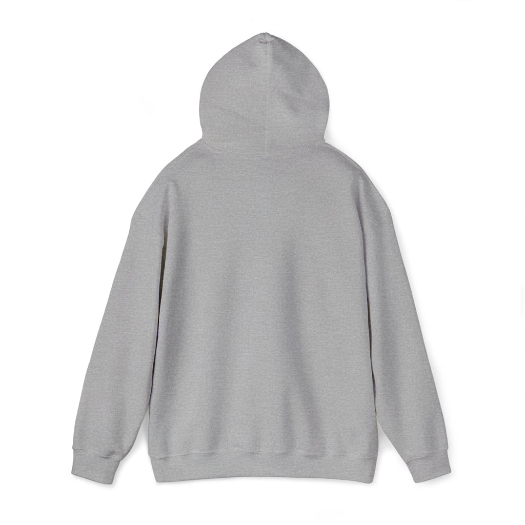 Hoodie —  ORION Graphic Hooded Sweatshirt