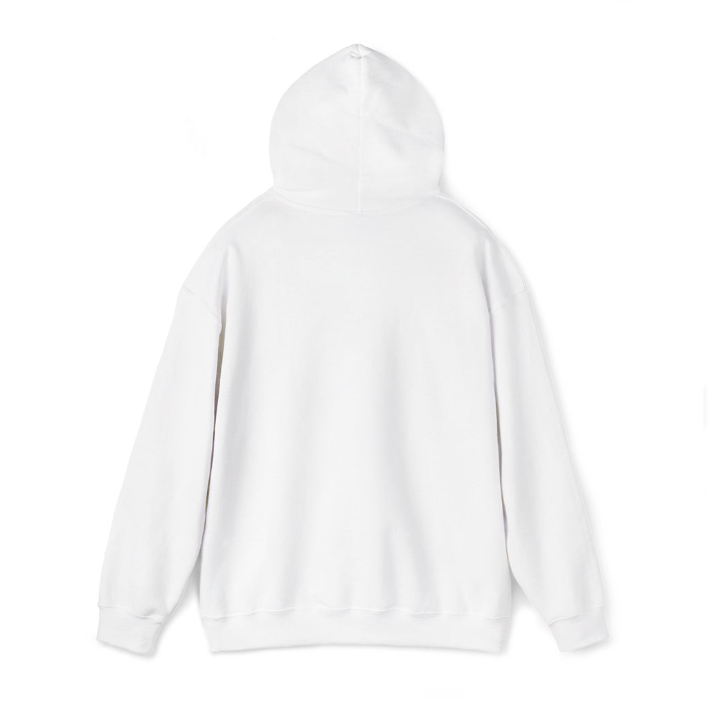 Hoodie —  ORION Graphic Hooded Sweatshirt