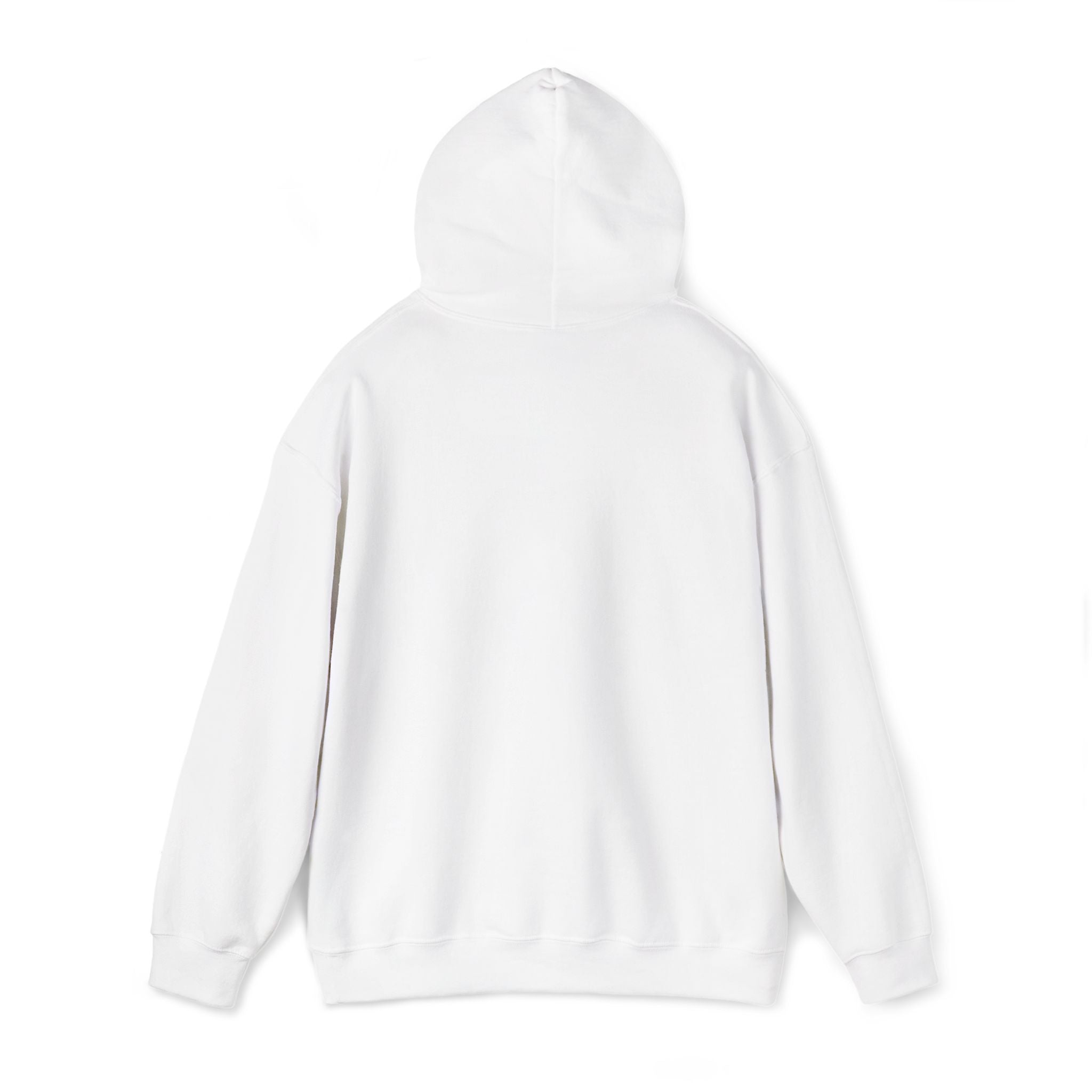 Hoodie —  ORION Graphic Hooded Sweatshirt