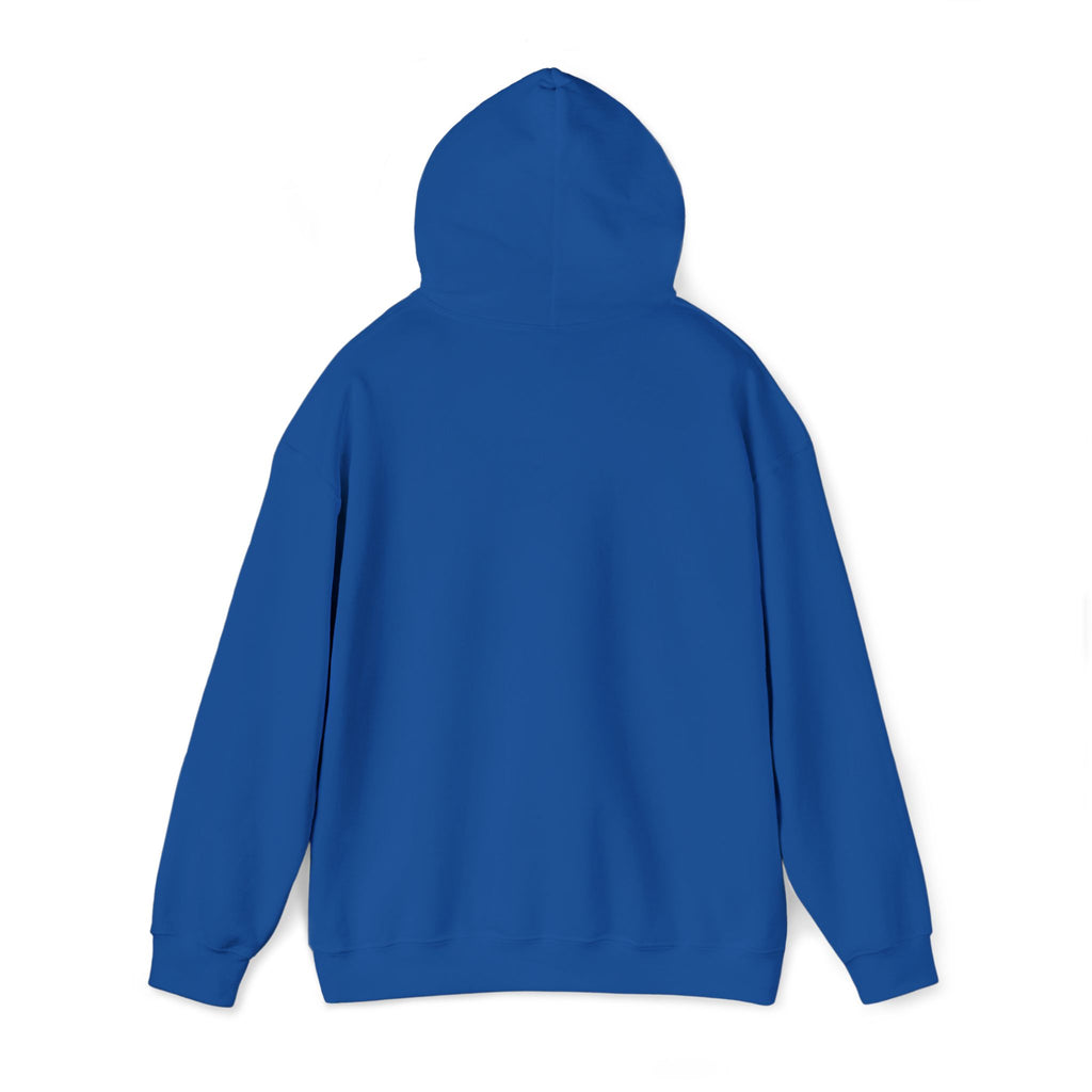 Hoodie —  ORION Graphic Hooded Sweatshirt