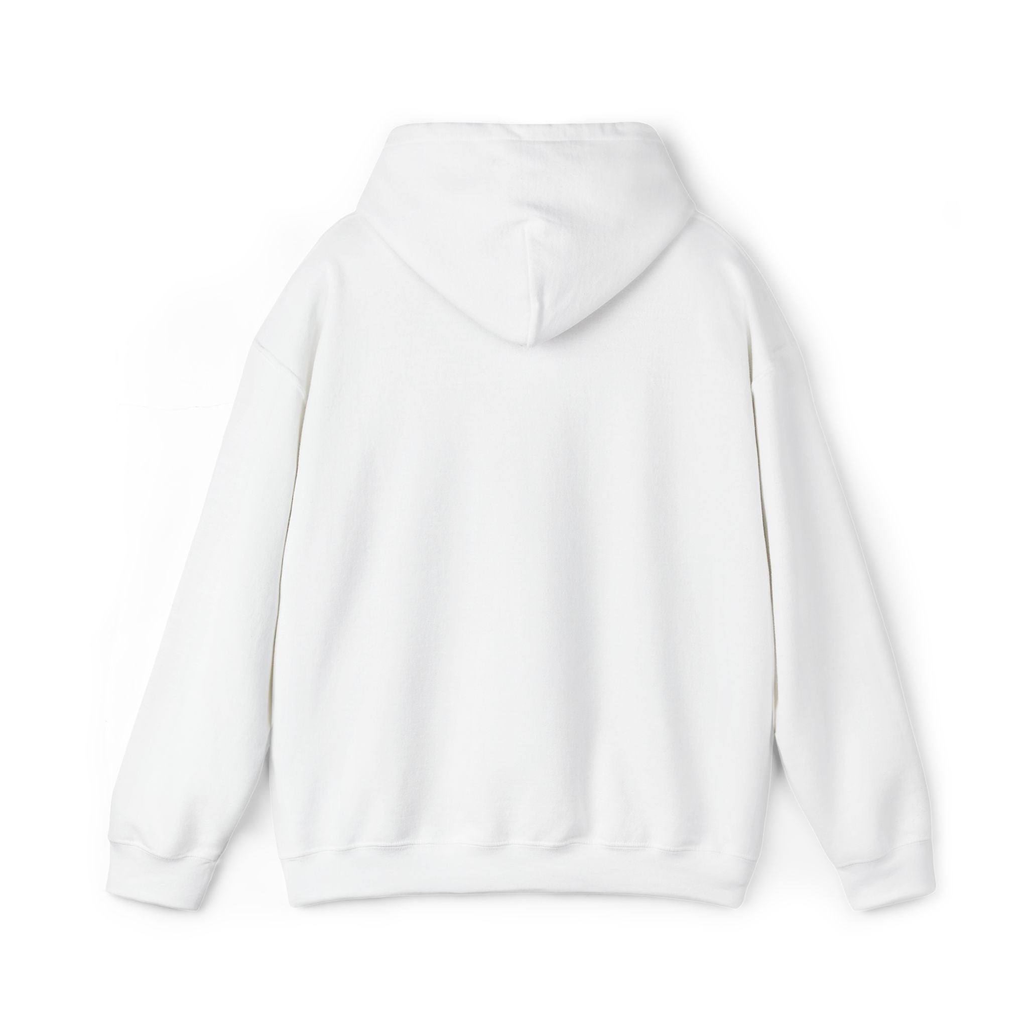 Hoodie —  ORION Graphic Hooded Sweatshirt