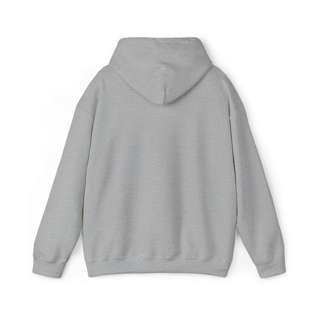 Hoodie —  ORION Graphic Hooded Sweatshirt